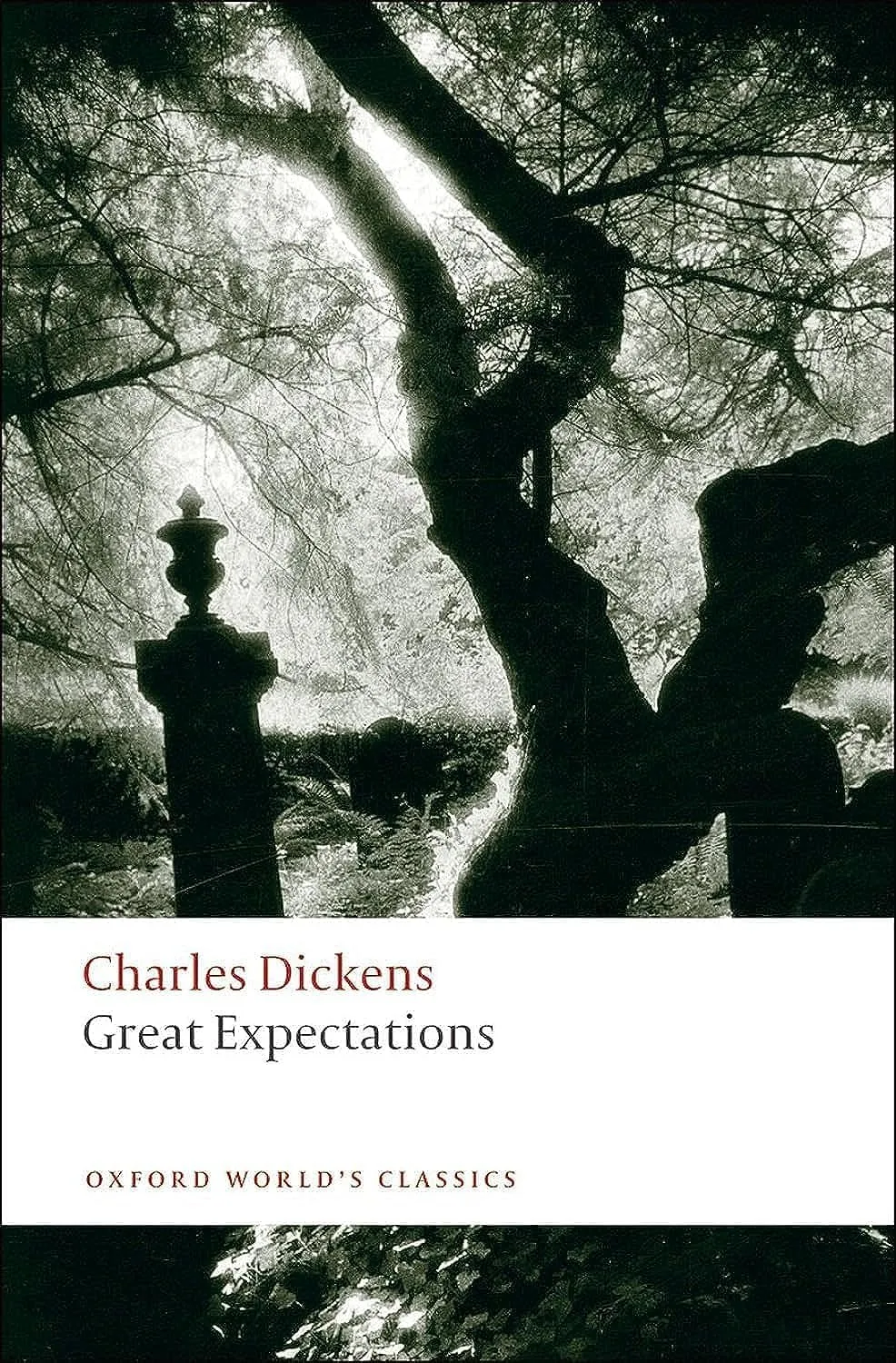 Great Expectations (Oxford World's Classics) Paperback  August 10, 2008
